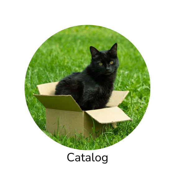 Catalog