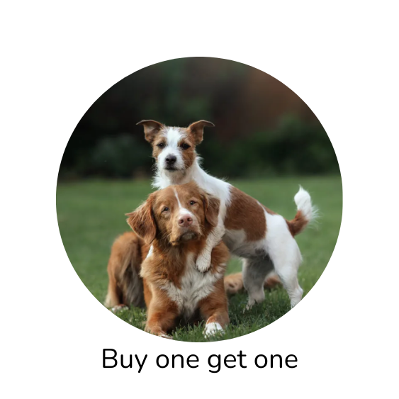 Buy One Get One Free Pet Supplies | BOGO Pet Deals