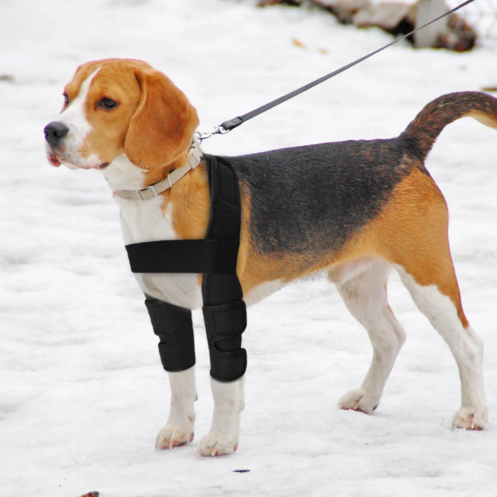 Dog Leg Support Sleeve – Protects Wounds & Aids Recovery - Wooflu