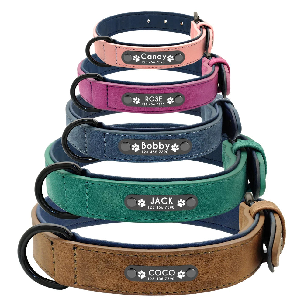 Dog Collar Leash  Personalized - Wooflu