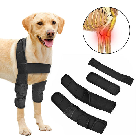Dog Leg Support Sleeve – Protects Wounds & Aids Recovery - Wooflu