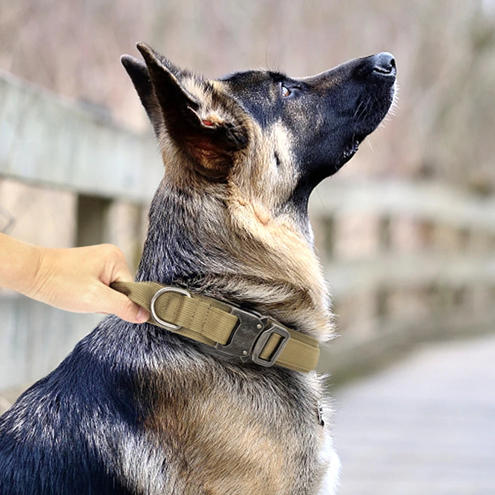 Military Tactical Dog Collar - Wooflu