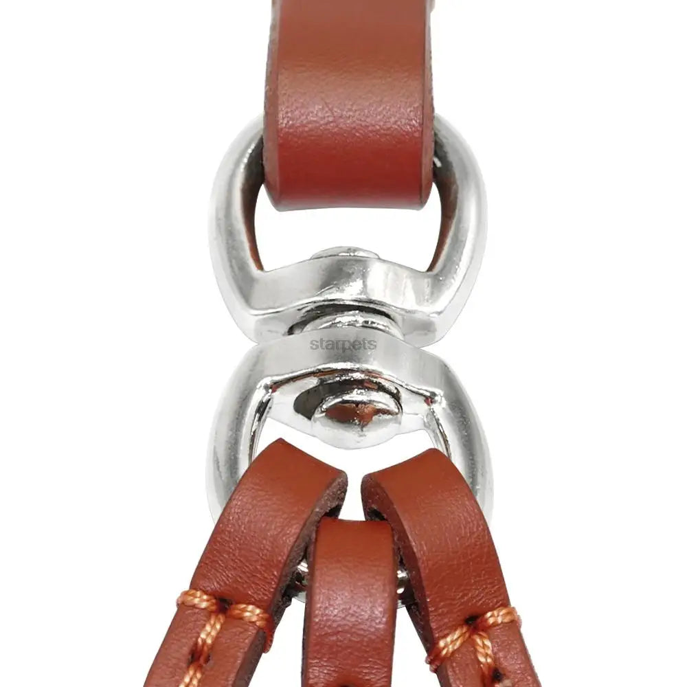 Leather Dog Collar with 3-Way Coupling – Walk Three Dogs Easily - Wooflu