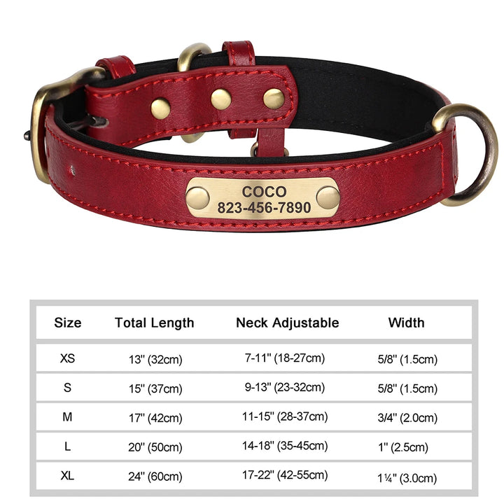 Personalized dog collars with ID engraving - Wooflu