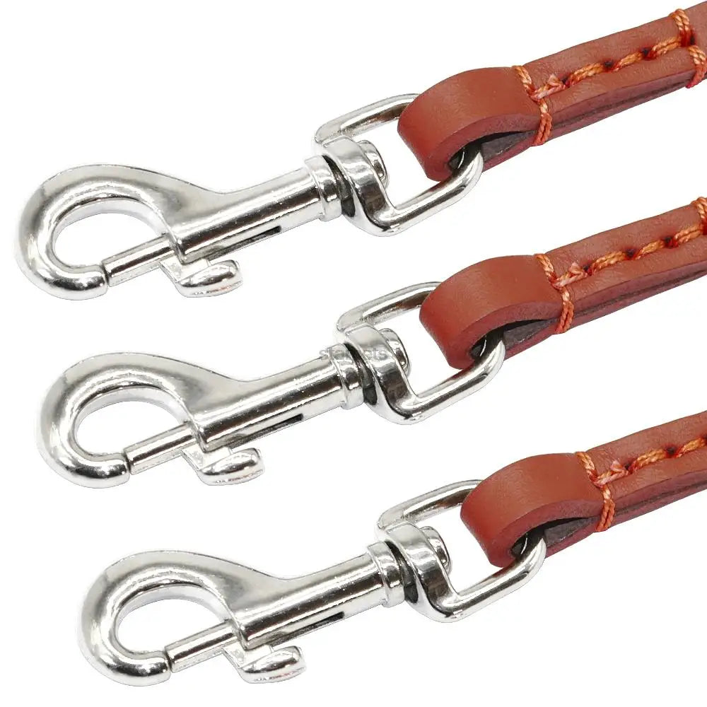 Leather Dog Collar with 3-Way Coupling – Walk Three Dogs Easily - Wooflu