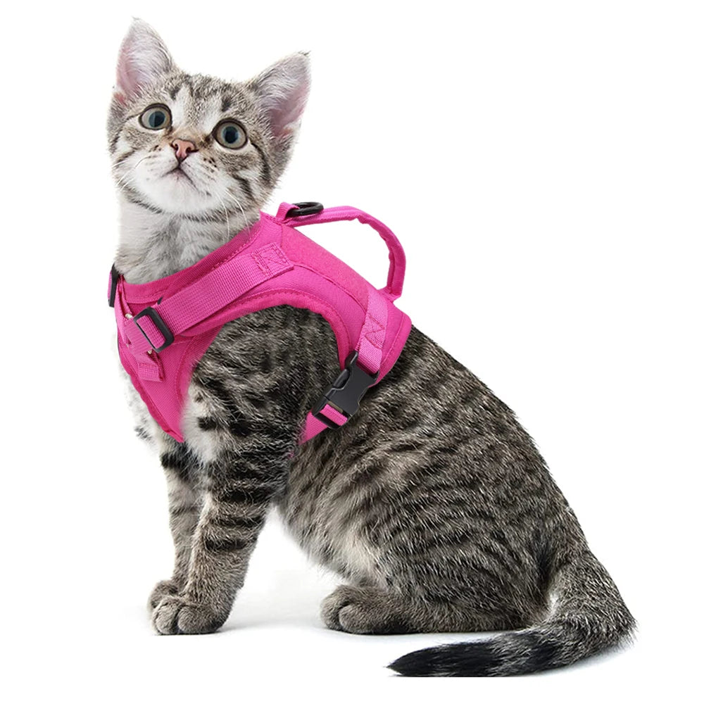 Military Tactical Cat Harness - Wooflu