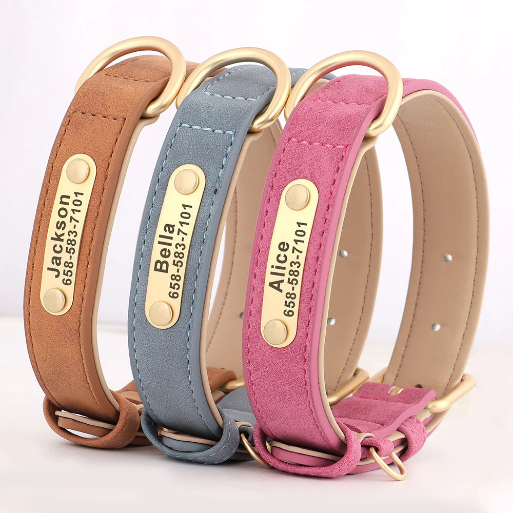 Personalized dog collars with ID engraving - Wooflu