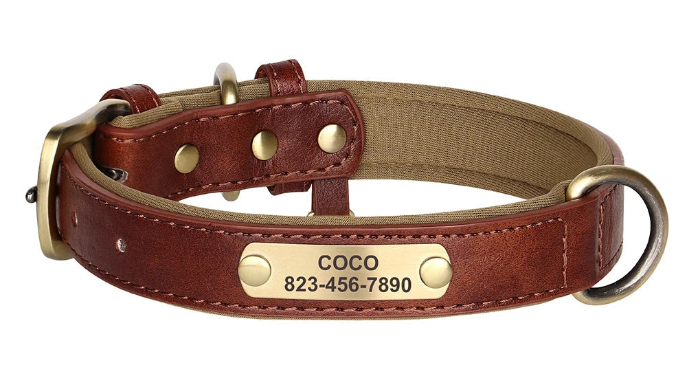 Personalized dog collars with ID engraving - Wooflu
