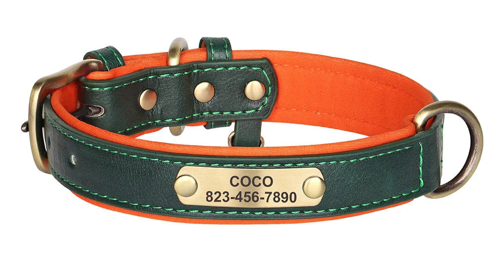 Personalized dog collars with ID engraving