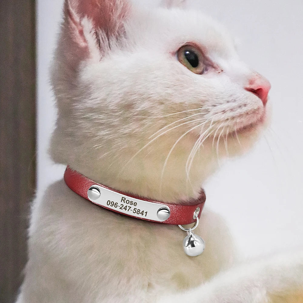 Cat Collar Personalized - Wooflu