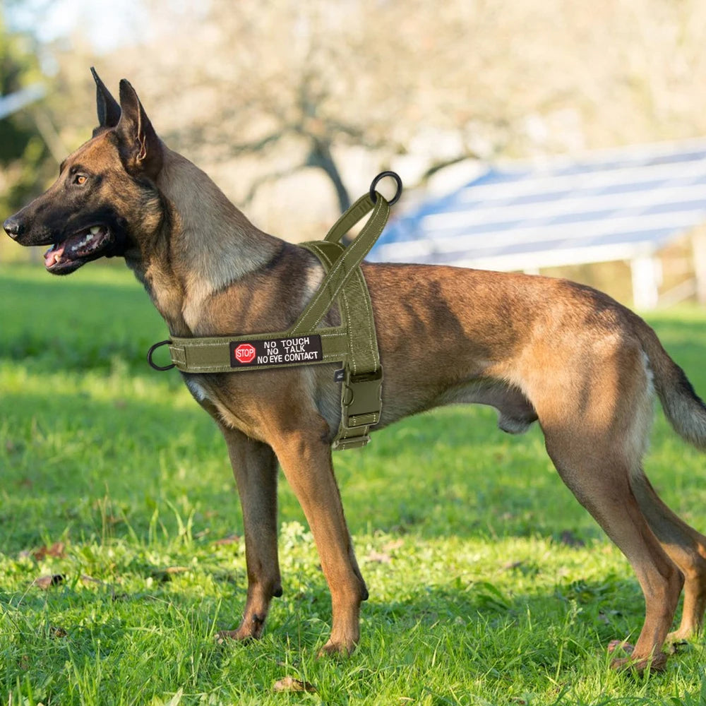 Tactical Nylon Dog Harness - Wooflu