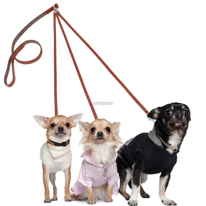 Leather Dog Collar with 3-Way Coupling – Walk Three Dogs Easily - Wooflu