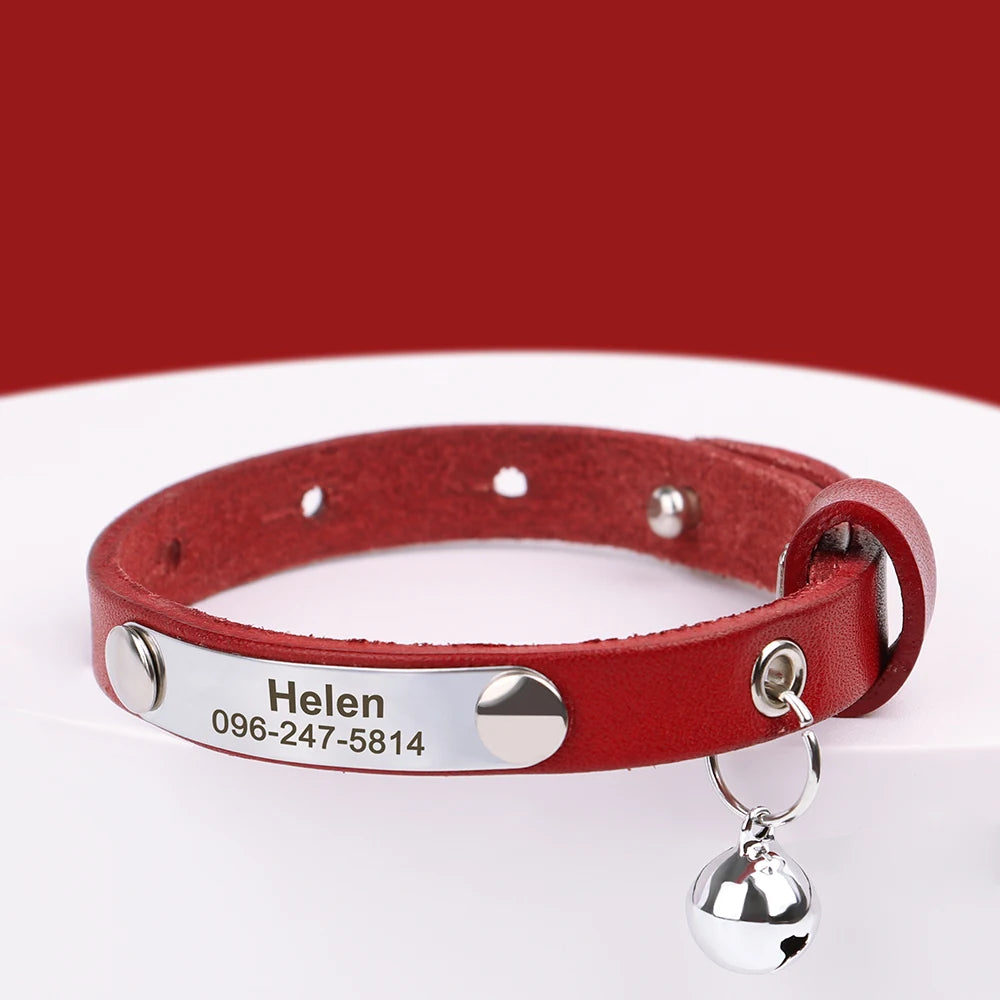 Cat Collar Personalized - Wooflu