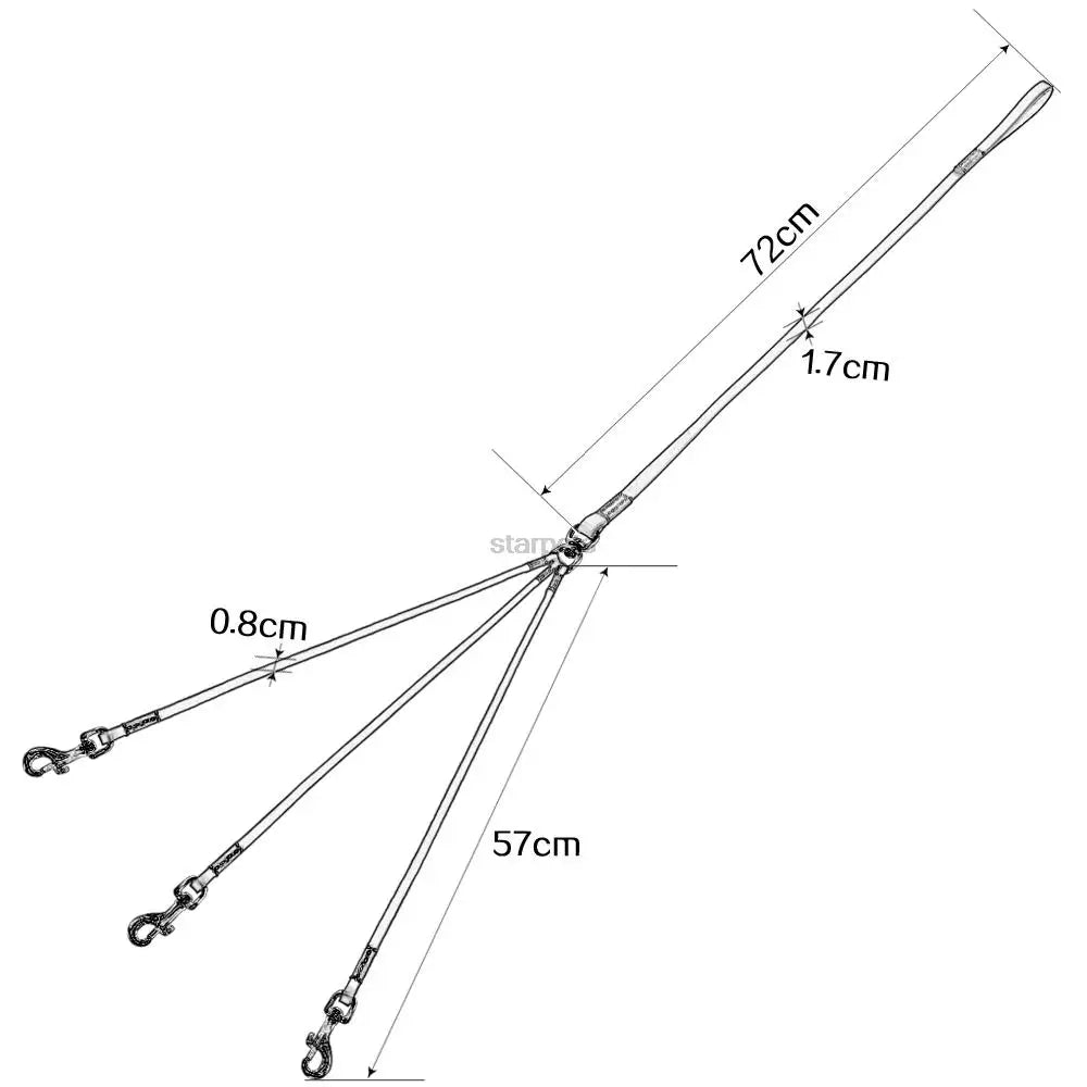 Leather Dog Collar with 3-Way Coupling – Walk Three Dogs Easily - Wooflu