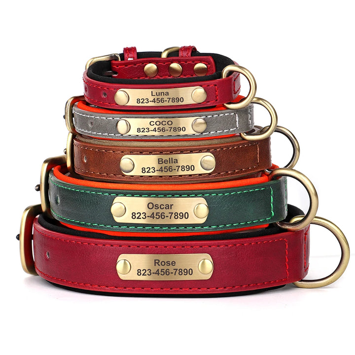 Personalized dog collars with ID engraving - Wooflu