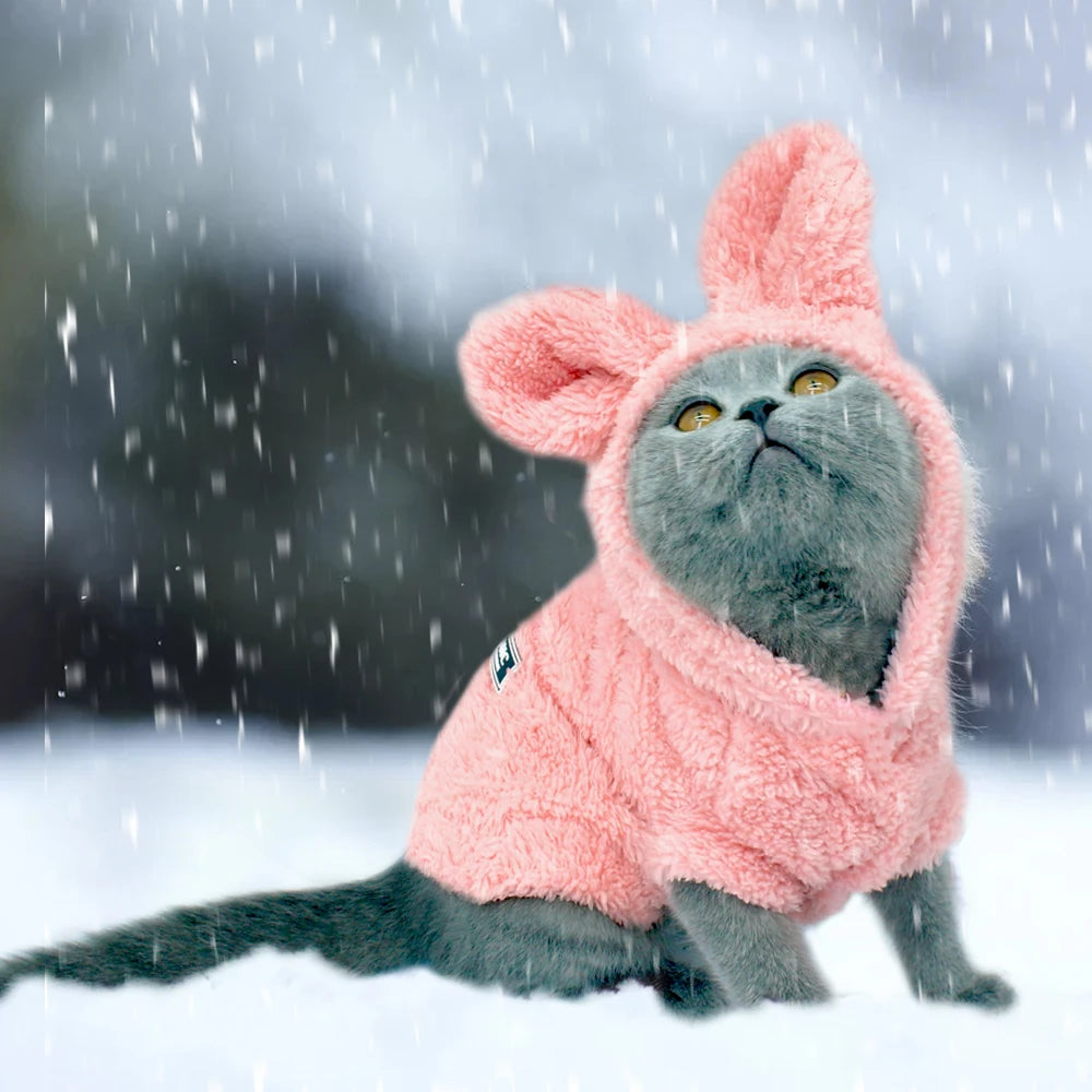 Warm Winter Cat Clothes - Wooflu