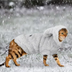 Warm Winter Cat Clothes - Wooflu